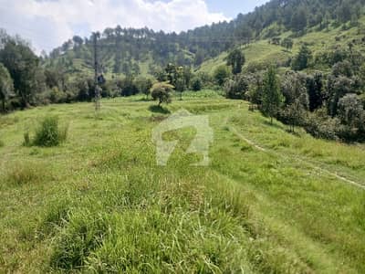 13 Kanal Compact Piece Of Land For Sale In Pir Sohawa