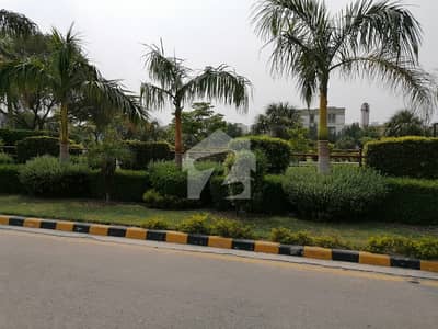 100 Marla Commercial Plot Available For Sale