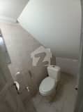 7 7