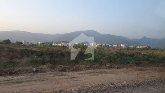 Prime Location 1 Kanal Plot In D-13