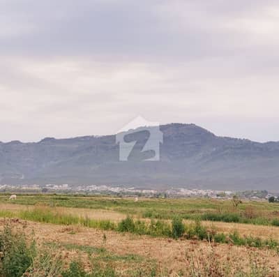 D-13/3 Prime Location Plot For Sale