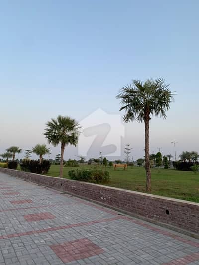 Good Location Royal Palm City - Block H Residential Plot Sized 5 Marla Is Available