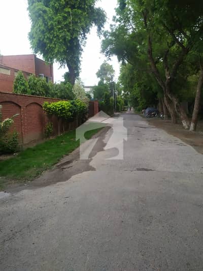 defence raya BIG OFFER 53 MARLA HOT LOCATION PLOT IN MAIN CANTT