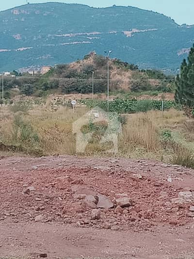D-12/2 600 Square Yard Corner Plot For Sale
