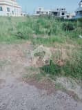1 1