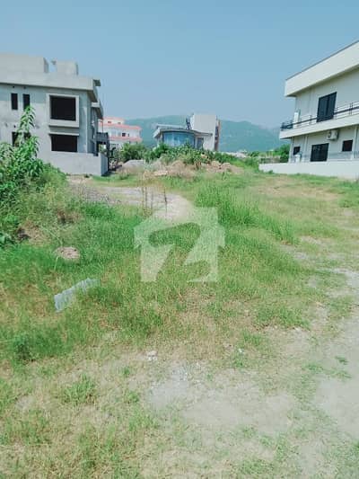 D-12/3 500 Square Yard Plot For Sale