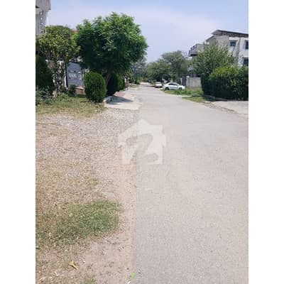 D-12/3 35*70 level Plot For Sale
