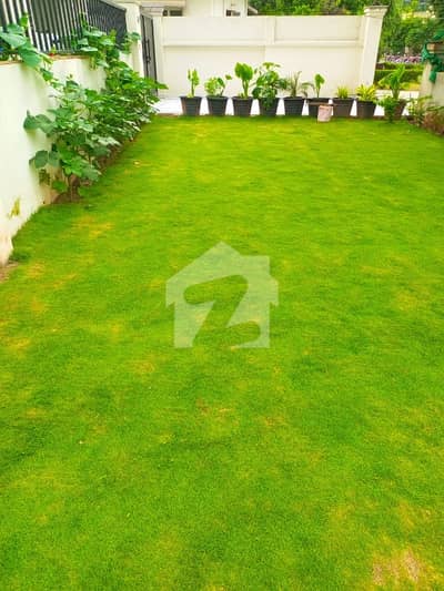 i. 8 1kanal Frist floor for rent.  detail in description
