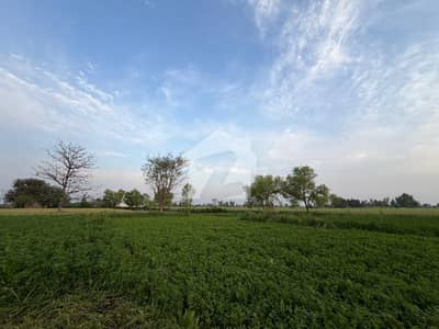 Prominently-Located House Available In Dream Gardens For sale Prominently-Located House Available In Dream Gardens For sale