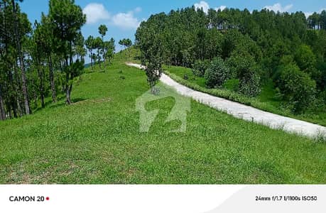 1 kanal plot for sale at sajikot qalanderabad