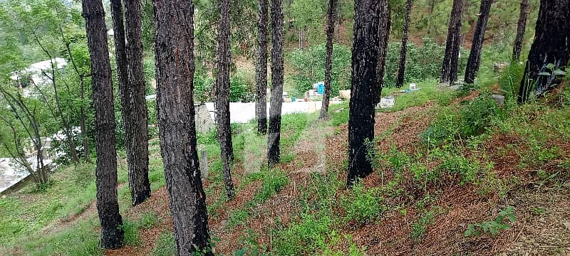 6 Marla View Location Plot For Sale 6 Marla View Location Plot For Sale
