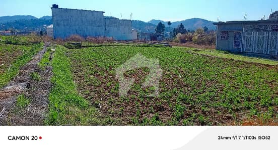 19 Marla Plot For Sale In Neelay Pair Abbottabad