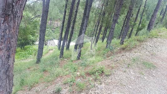14 Marla View Location Plot For Sale At Banda Nabi Abbottabad