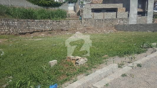 8 Marla Plot For Sale In Gulfarm Town Abbottabad