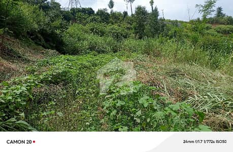 35 Marla plot available for sale at morkalan abbottabad
