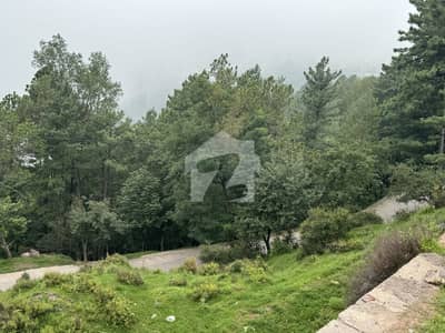 A Precious very centrally Located Commercial plot for sale in Lower Jhika Gali Scheme Murree. Almost 5 minutes drive from Mall Road.   Having direct access from Murree Expressway way,