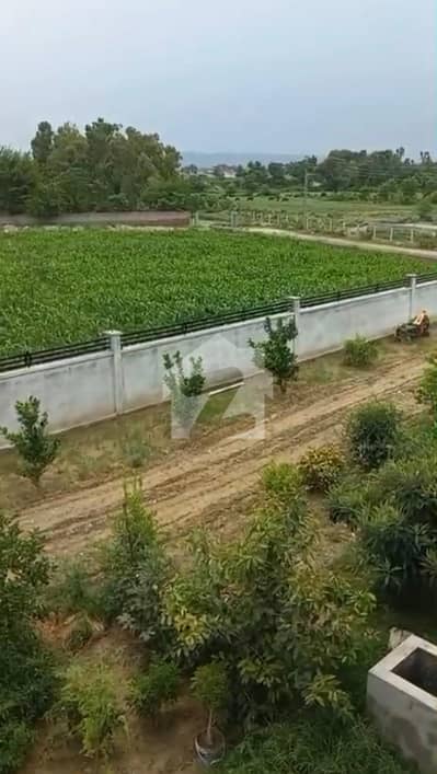 تربیلا روڈ ہری پور میں 4 کمروں کا 67 کنال فارم ہاؤس 35.0 کروڑ میں برائے فروخت۔