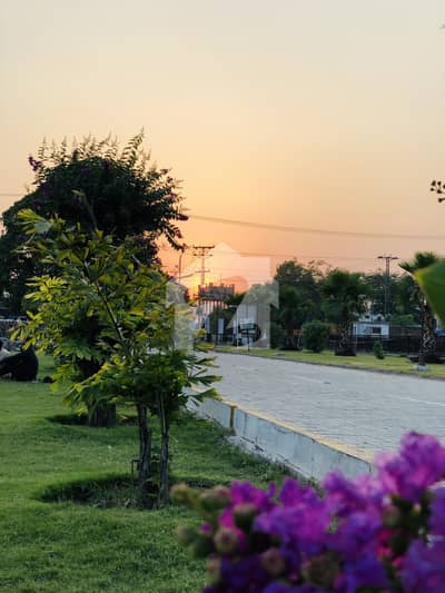 12 Marla Plot For Sale In Hayatabad