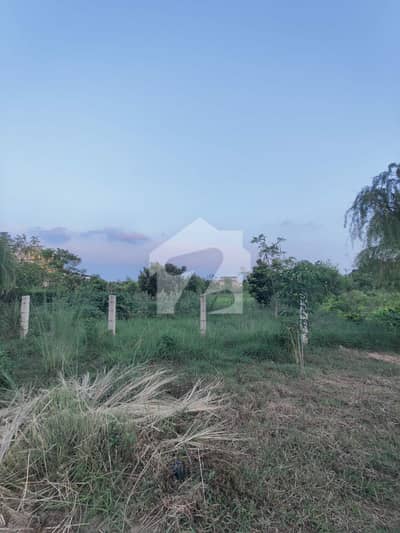 60x90 Plot For Sale In D-12/2
