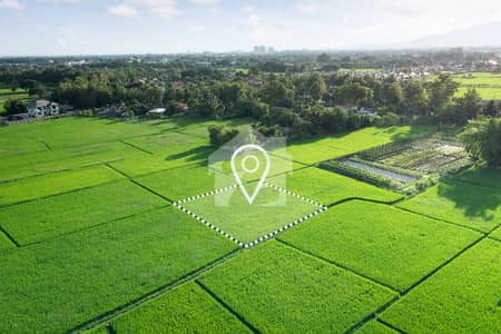 Plot No. MB-175 | 4 Marla Commercial Plot for Sale | Best for Coffee Shops, Software Houses, Clothing Brands & All Businesses | DHA Phase 6 Lahore
