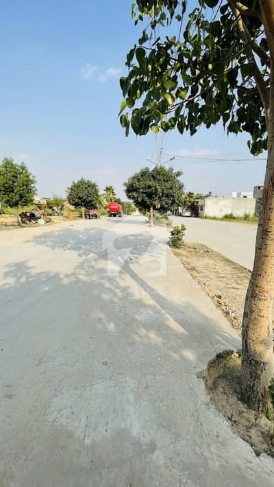 Prime Location Plot In Main Boulevard
