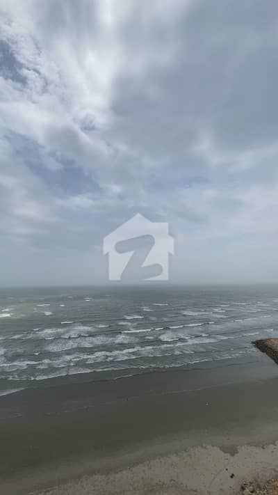 Brand New Apartment For Rent