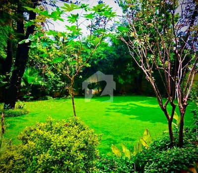 E-7 Beautiful House For Rent