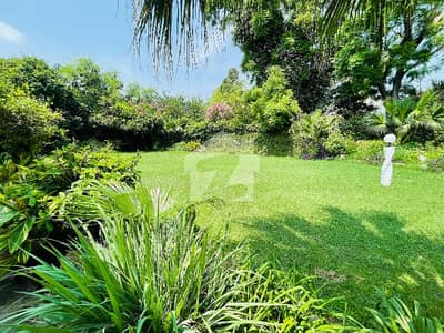 F-7 04 Bedroom House With Beautiful Garden Available For Rent.