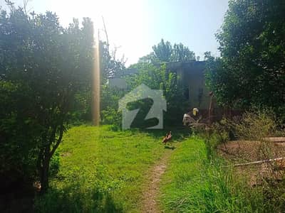 مارگلہ آرچرڈ اسلام آباد میں 1 کنال رہائشی پلاٹ 3.2 کروڑ میں برائے فروخت۔