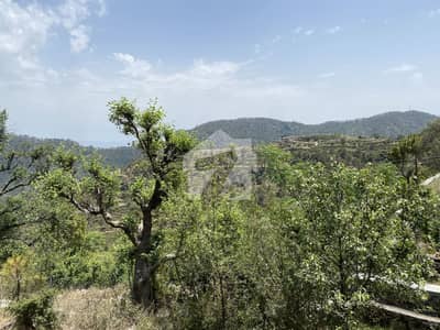 Beautiful Scenic Farm House Land In The Margallas 7 Minutes Drive Up Hill From Highlands Resort Beautiful Scenic Farm House Land In The Margallas 7 Minutes Drive Up Hill From Highlands Resort