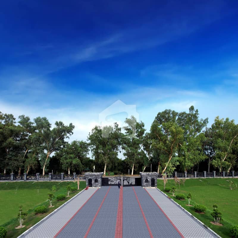 Prime Location Plot In Reasonable Price For Sale Prime Location Plot In Reasonable Price For Sale