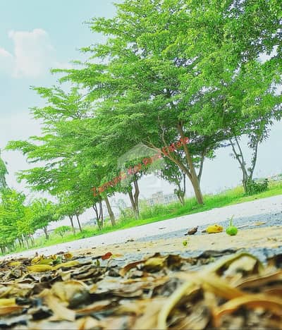 Low Price Plot | Sector 3A | Well developed area Plot