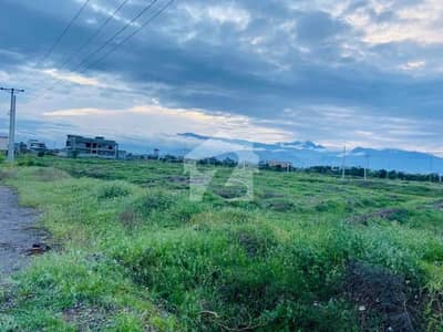 Low Price Plot | Well Developed Area | Near To Double Rd Service Rd