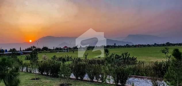 Sector 3A3 Plot | Low Price | Near to Masjid and Park