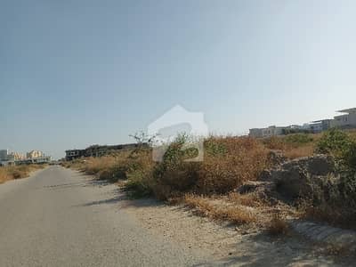 BOUNDARY WALL 1000 SQ YARDS OPEN PLOT AVAILABLE FOR SALE 40 FEET ROAD