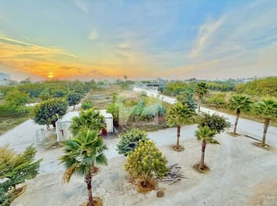 Main Entrance 4.44 Marla Commercial Plot Executive 2 Block