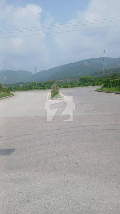 Premium 60*90 Corner Plot For Sale In Sector D-12/2