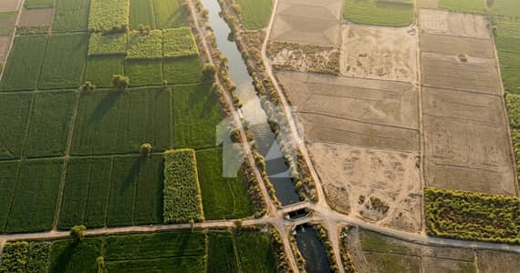 98 Kanal Industrial Land Seem Front 400 Ft Khurianwala To Jaranwala Link Road 98 Kanal Industrial Land Seem Front 400 Ft Khurianwala To Jaranwala Link Road
