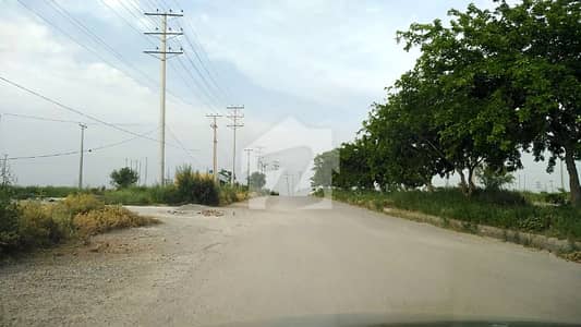 1250 Square Feet Residential Plot In I-16/4 Is Available