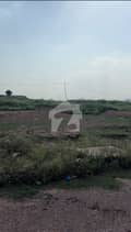 5 5