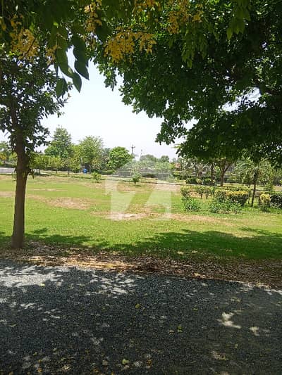 Prime Location sale A Residential Plot In Lahore Prime Location