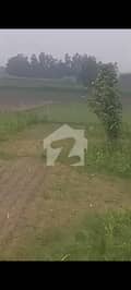 1 1