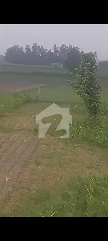 ملتان روڈ لاہور میں 3 کمروں کا 1 کنال فارم ہاؤس 18.2 لاکھ میں برائے فروخت۔