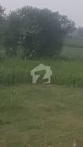 21 21