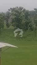 22 22