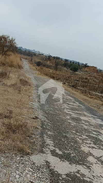 1 Kanal Plot For Sale PECHS Society