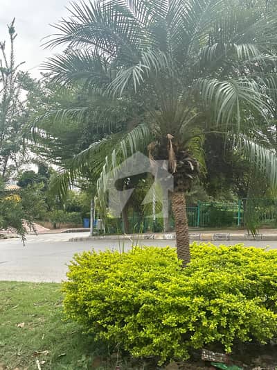 Centrally Located Residential Plot For Sale In Bahria Town Phase 7 Available