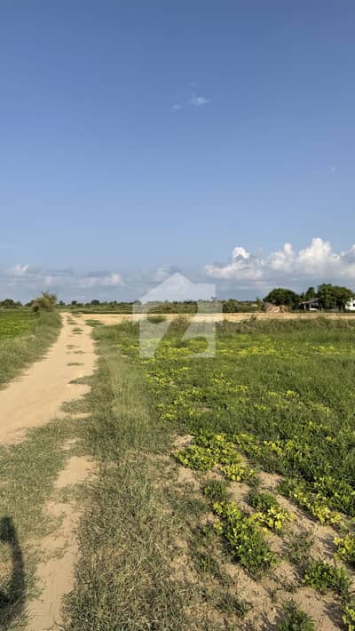 133 Kanal In Kalar Kahar