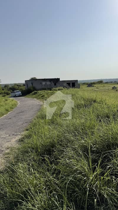 300 Kanal Agricultural Land In Chakwal