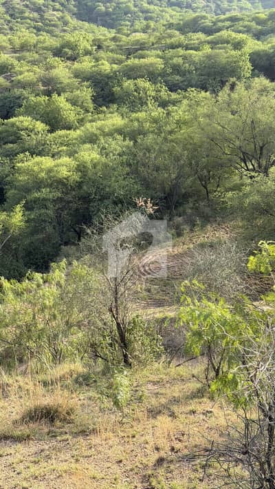 230 Kanal Land In Kalar Kahar Chakwal